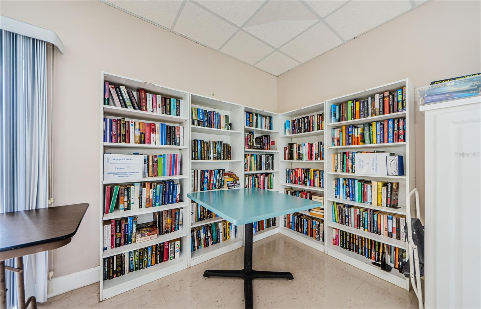 Recreation Showing Library Area