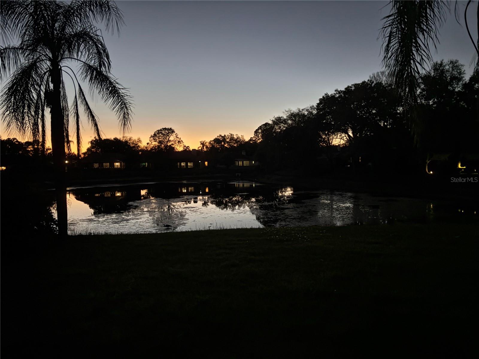 Night View of backyard and lake