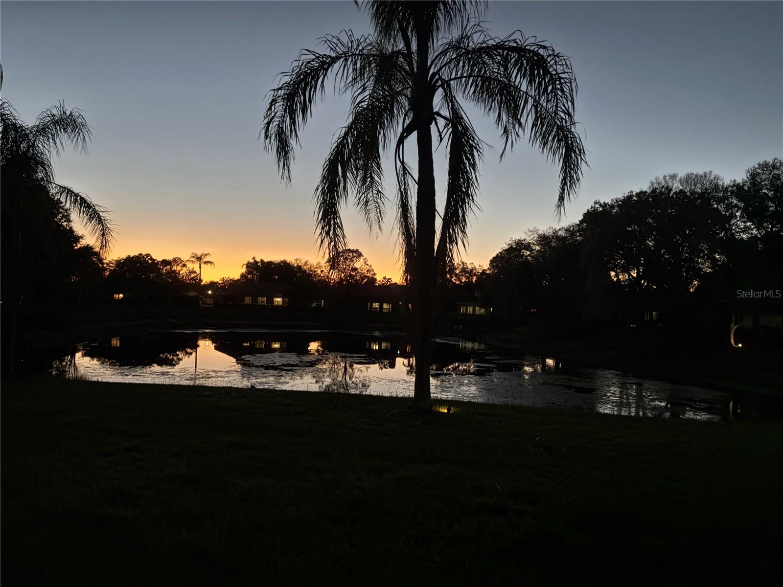 Night View of backyard and lake