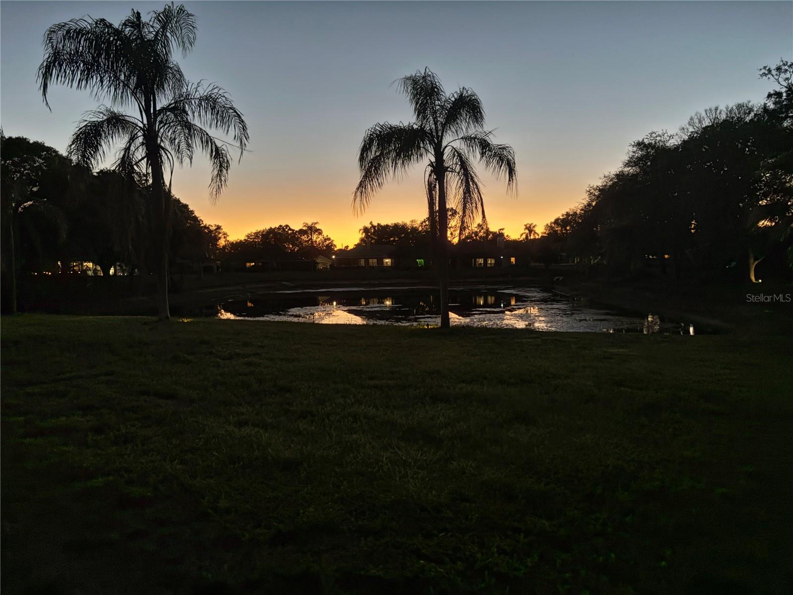 Night view of backyard and lake