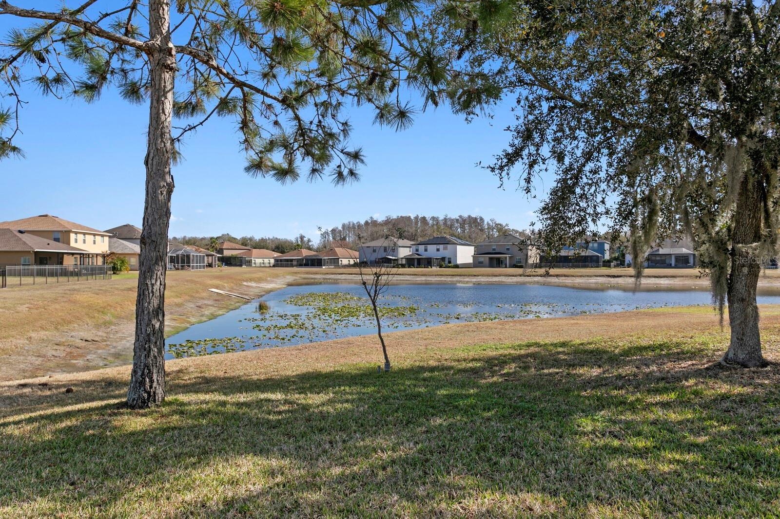 Tranquil backyard water views