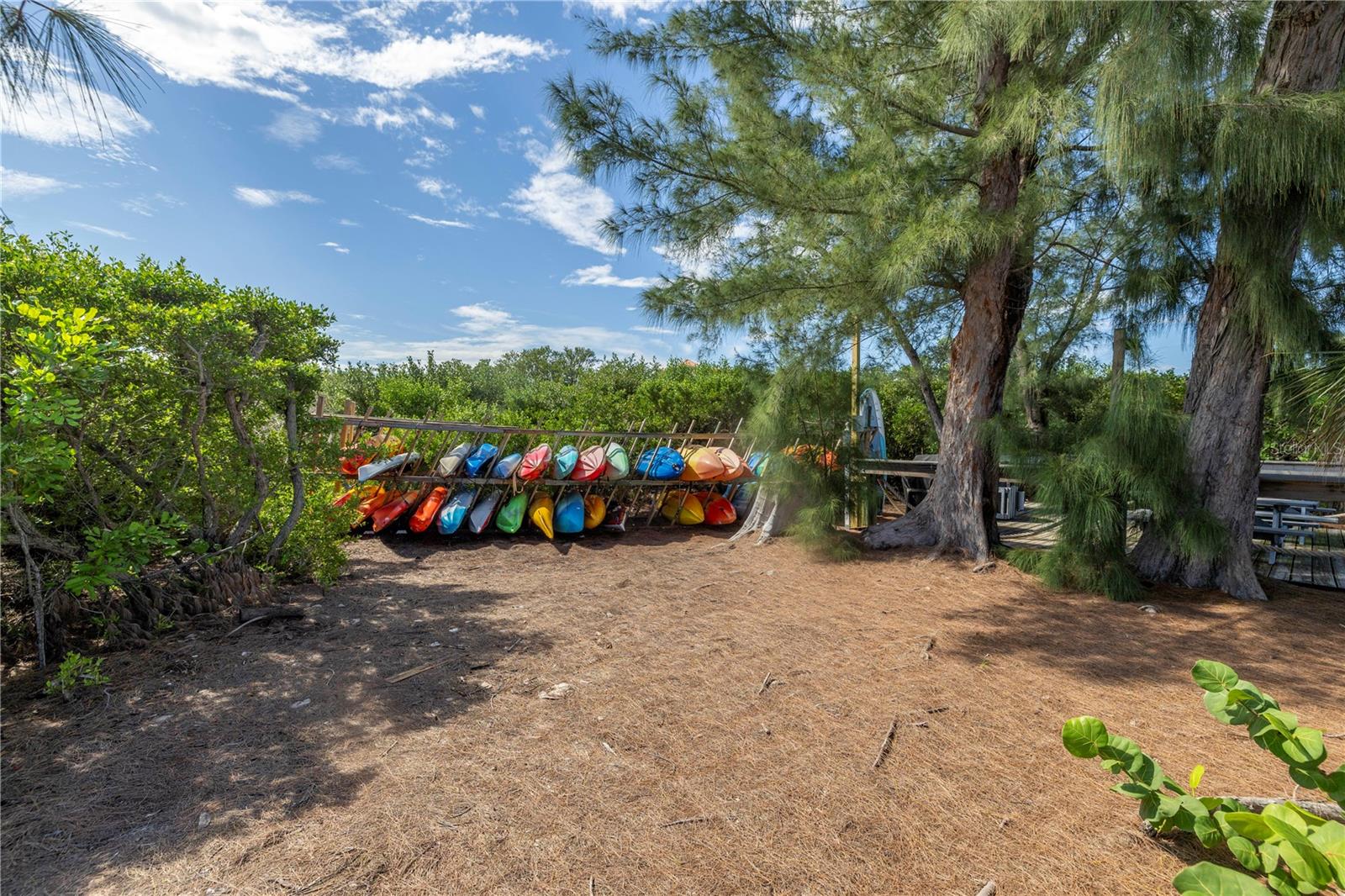 kayak storage