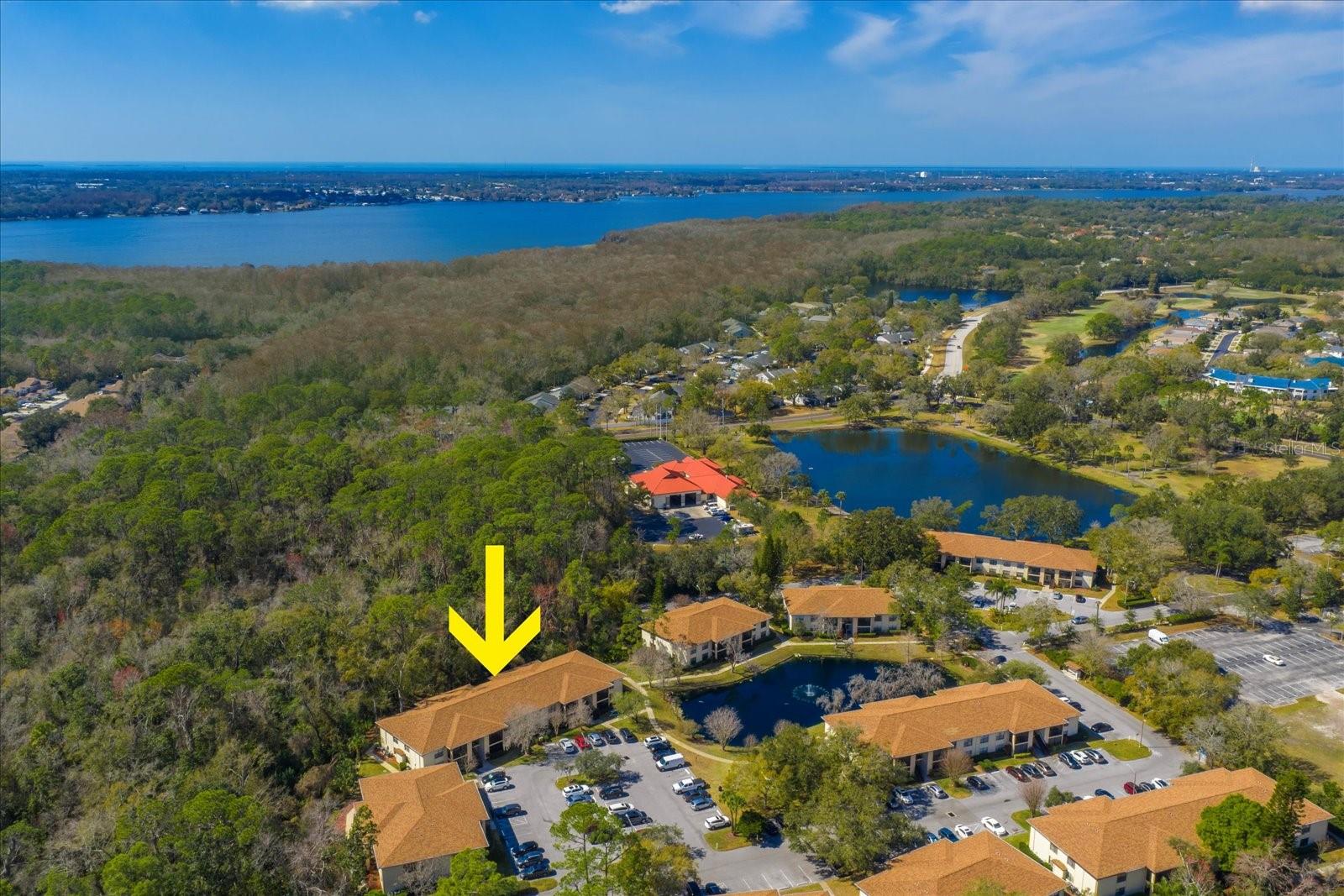 The condo overlooks a secluded and protected conservation area that extends towards John Chestnut Park and Lake Tarpon.