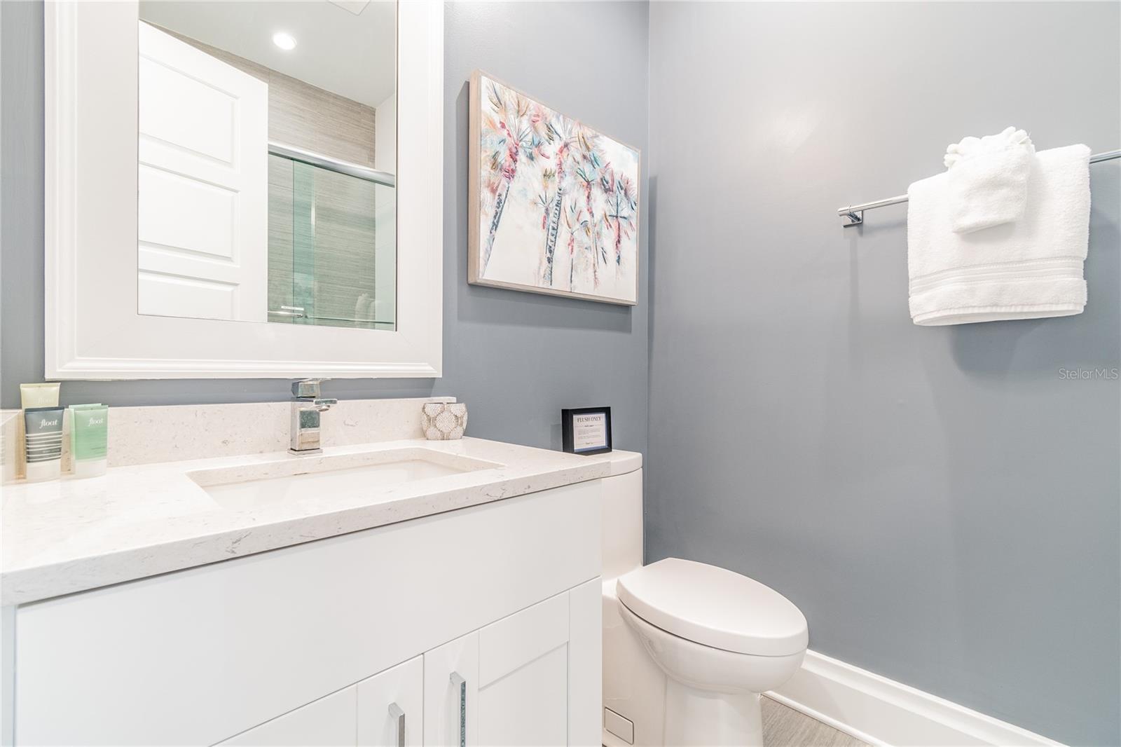 Guest Bath with Tub/ Shower Combo