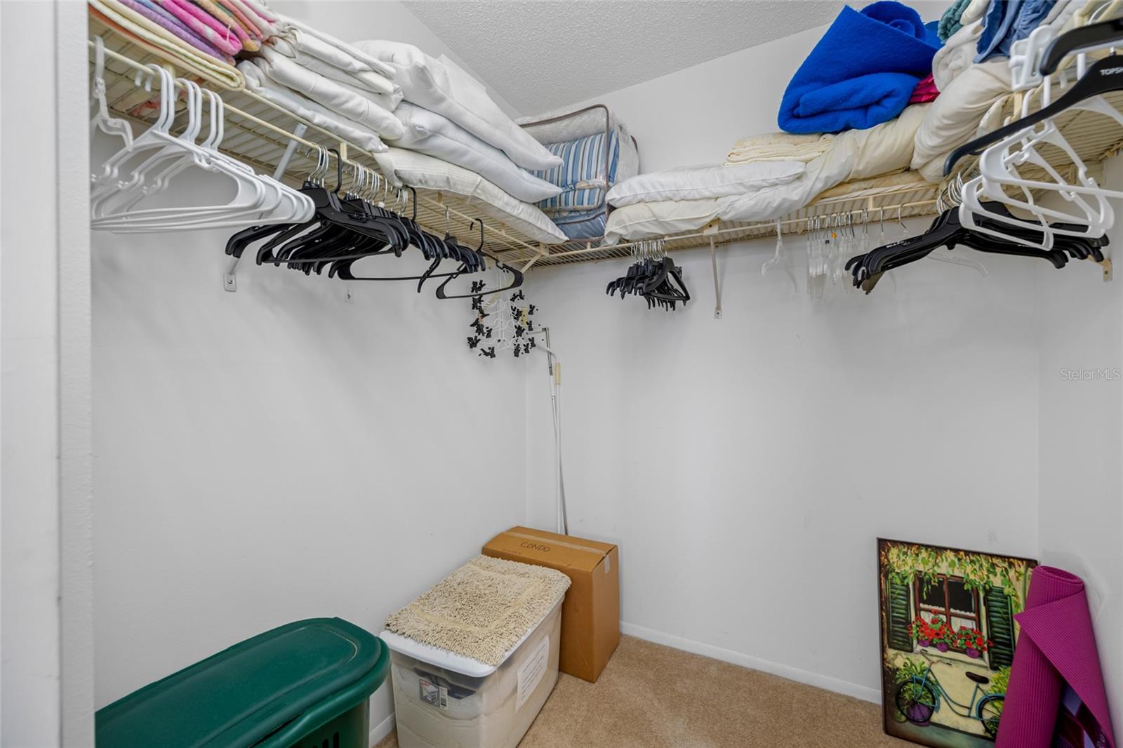 Primary BR Walk-in Closet