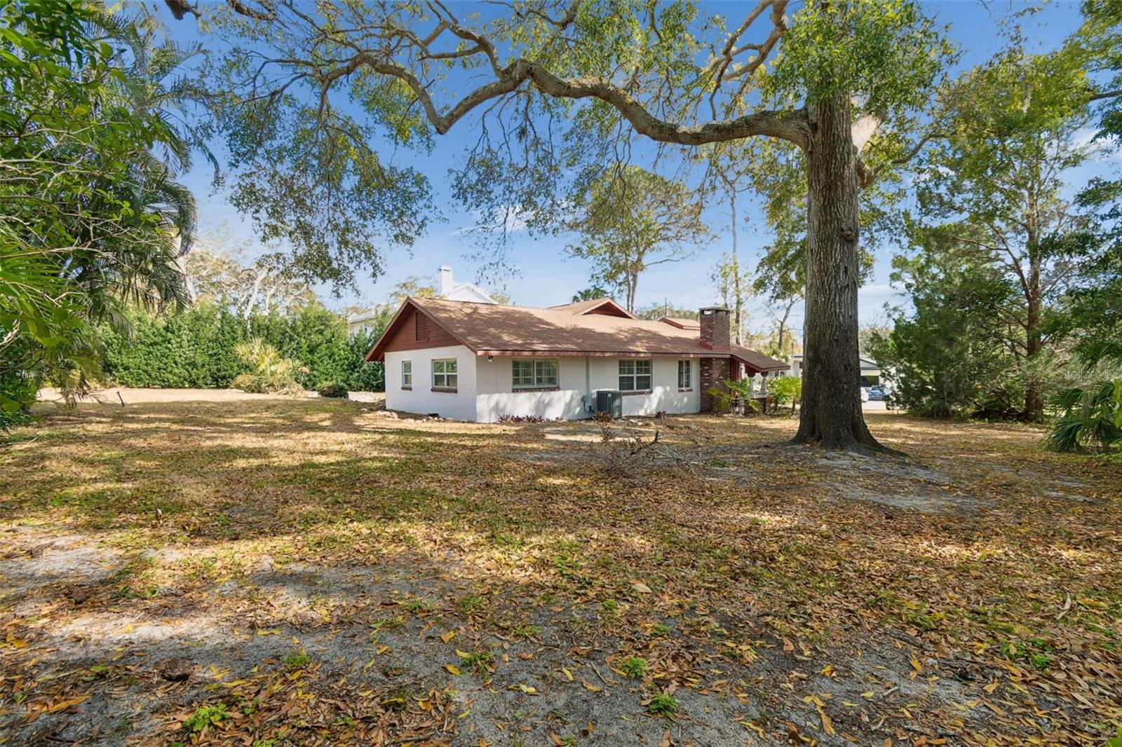 Enormous Rear & Side Yard