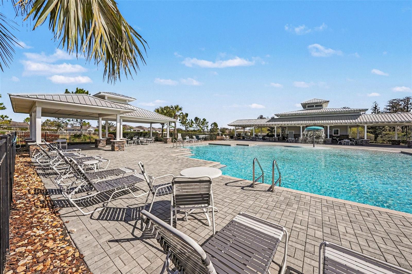 Community Pool - 18400 Hunters Meadow Walk, Land O Lakes, FL 34638