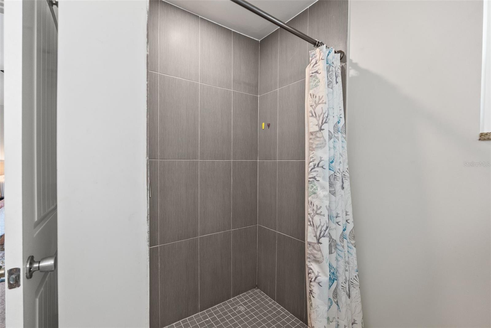 Walk-in shower in primary bath