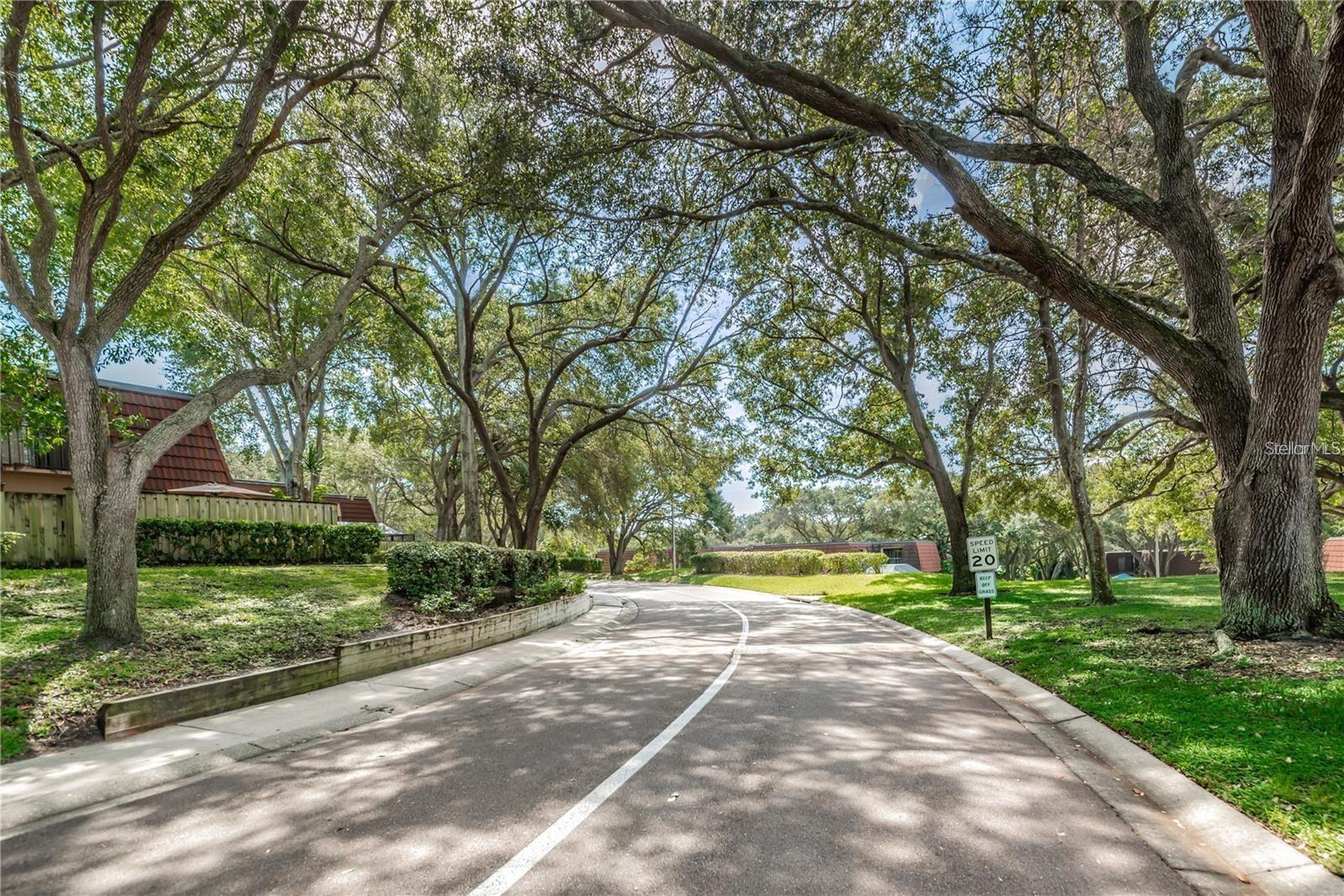 Community with beautiful trees shaded streets