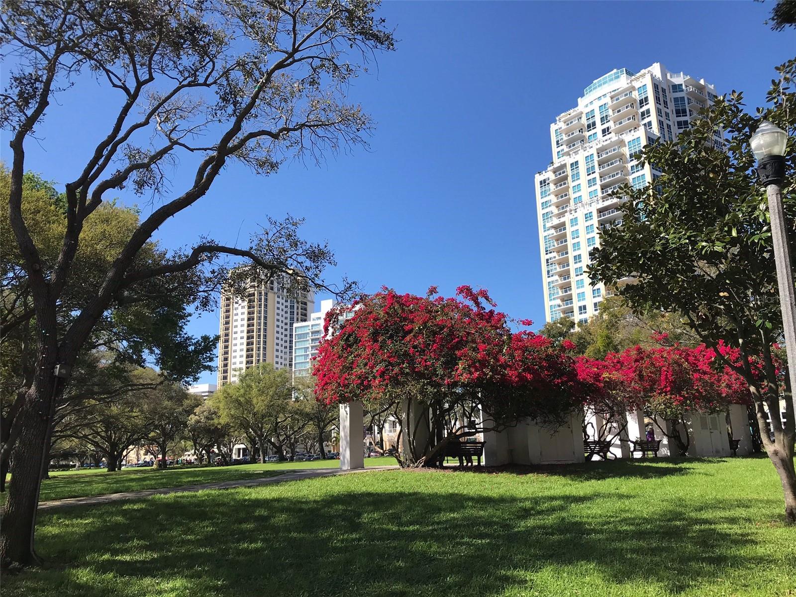 Downtown St Petersburg