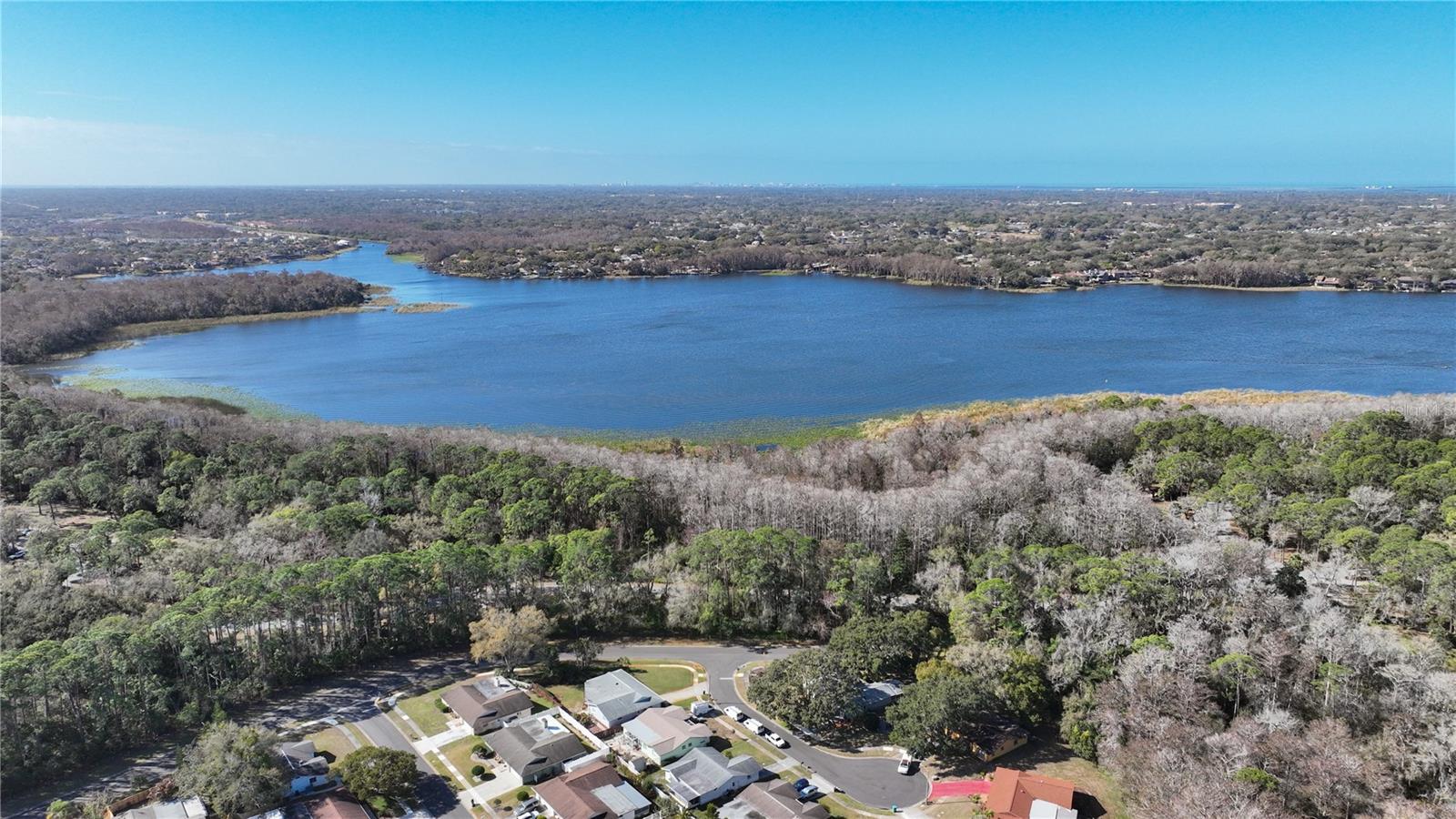 Aerial - Lake Tarpon