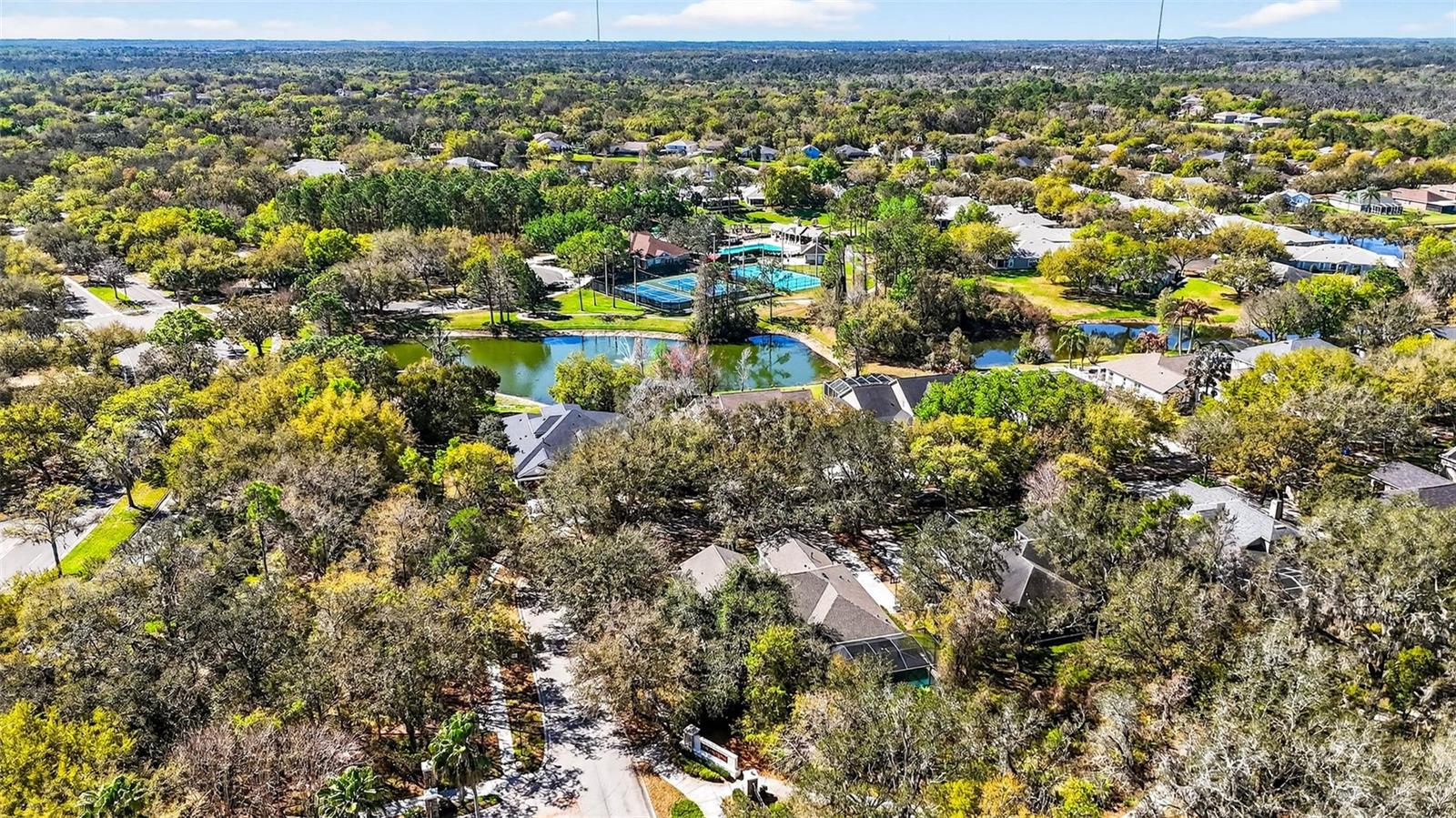 Drone shot of community and proximity to Osprey Club, one of FishHawk Ranch's premiere amenities.