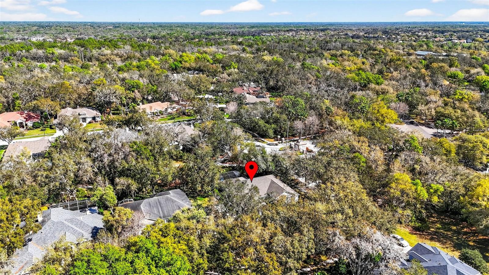 Nestled among mature oaks, this home offers maximum privacy in a gated enclave of FishHawk Ranch.