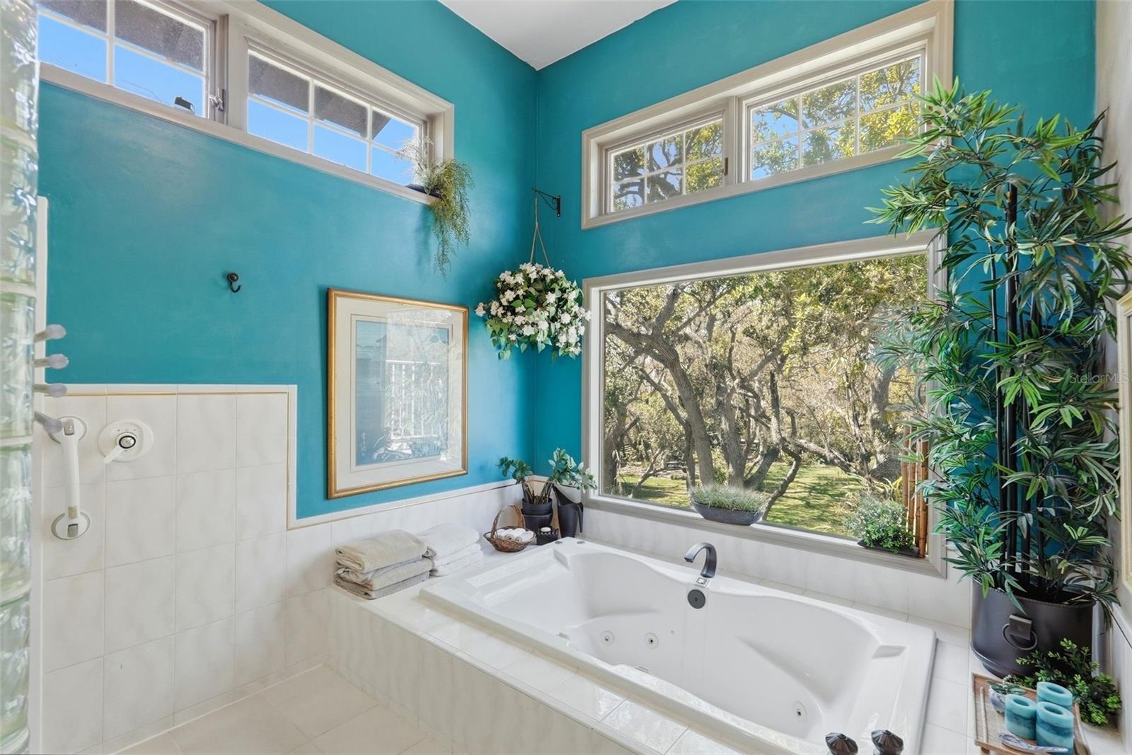 Primary Ensuite soaker tub with a view