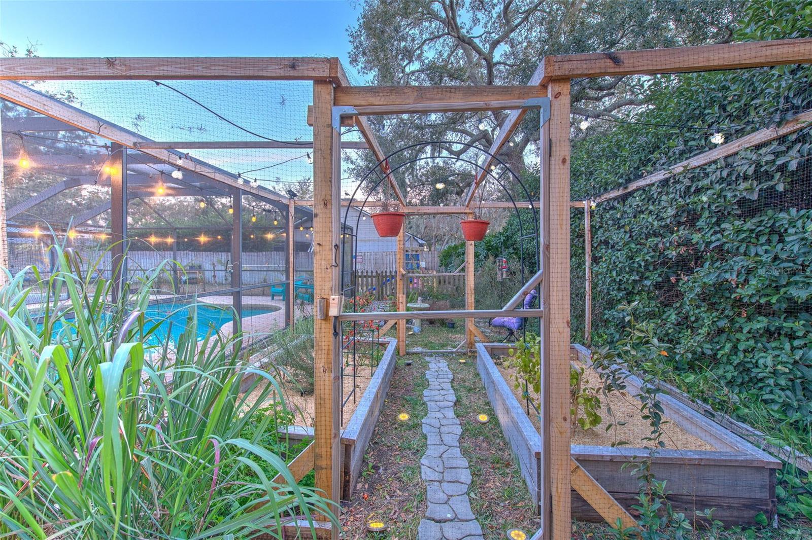 Twilight in the Garden, equipped with Solar Lights