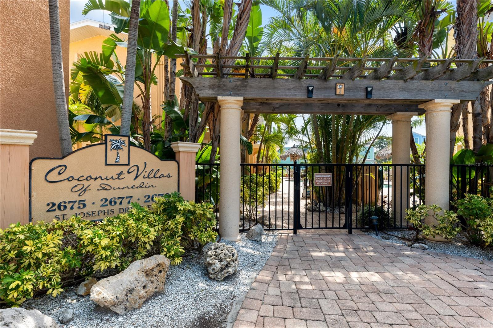Lush Tropical Pool Entry