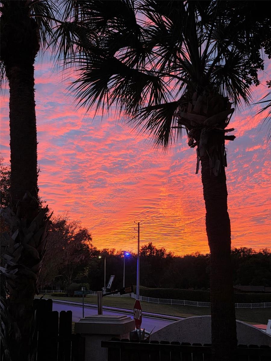 out side view from kitchen and back yard