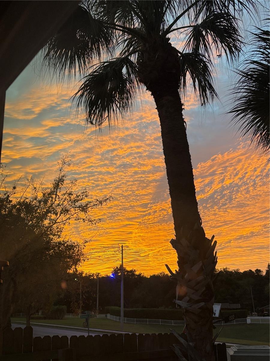 out side view from back yard and kitchen