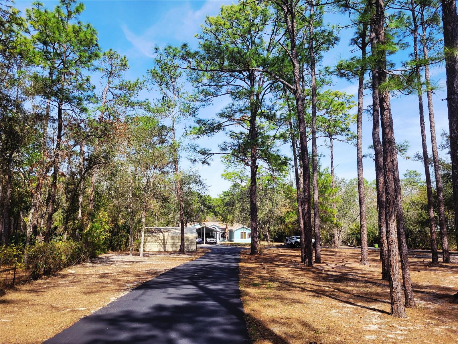 Long driveway to home