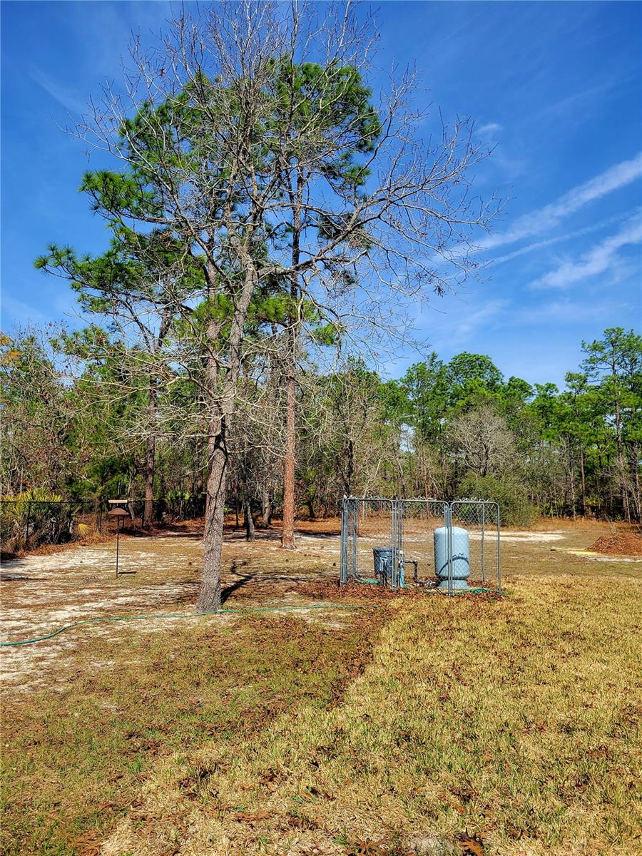 Rear yard all fenced in!