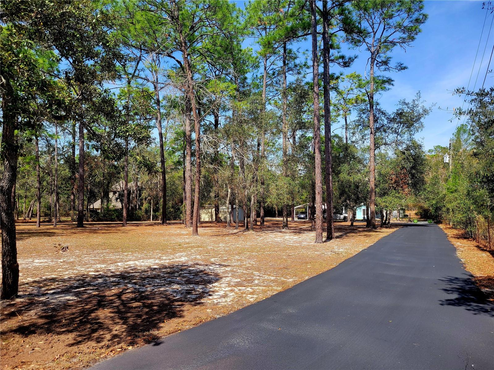 Front Yard with 2ns driveway