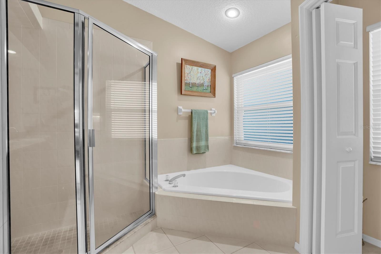 Primary Suite garden tub - Walk in Shower
