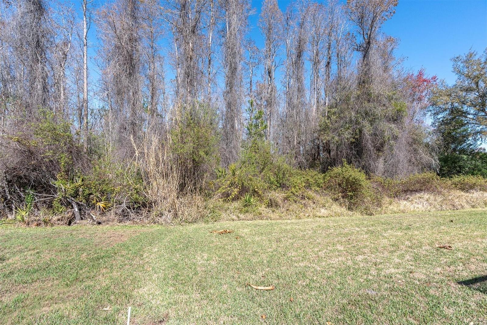.26 acre lot with conservation views