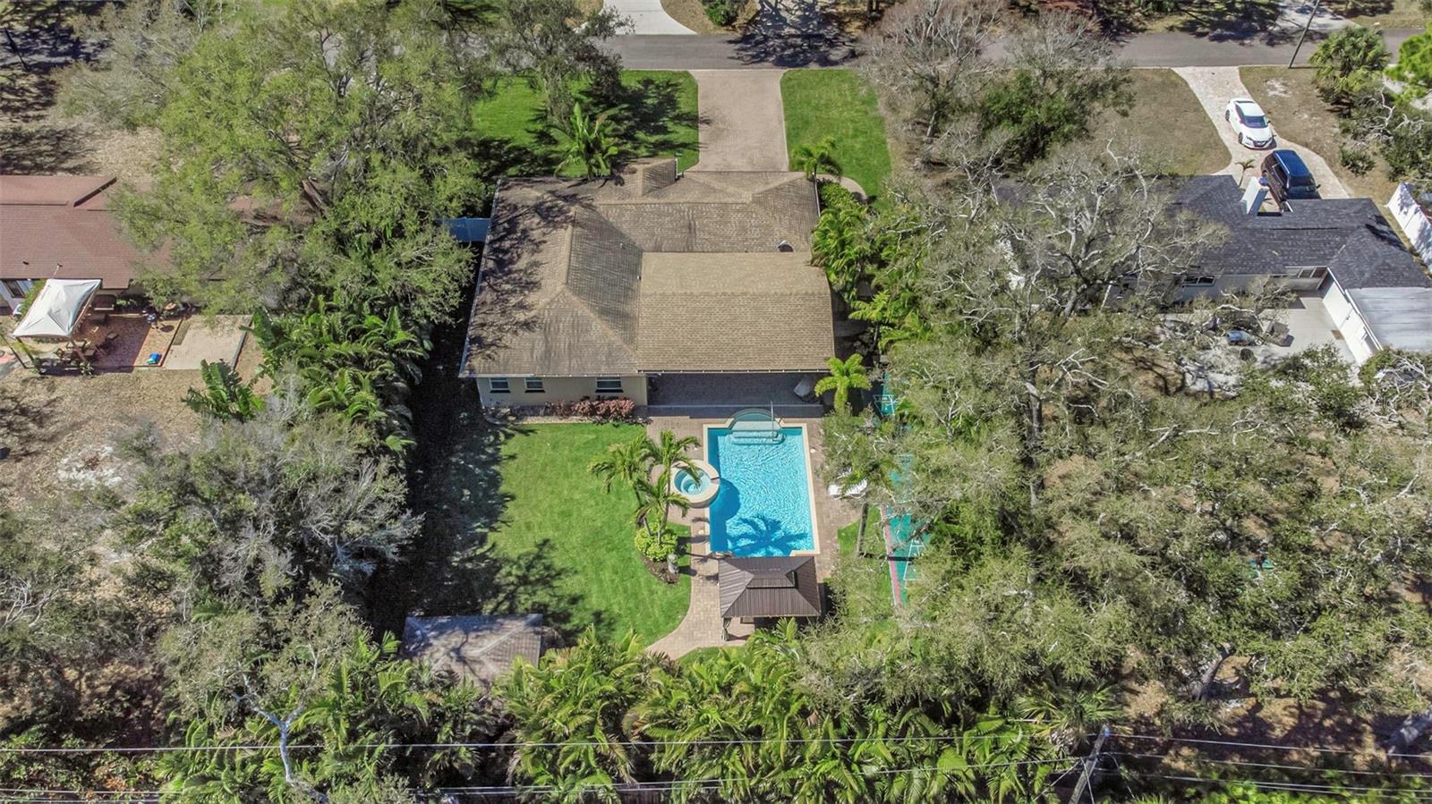 Historic Jungle Prada