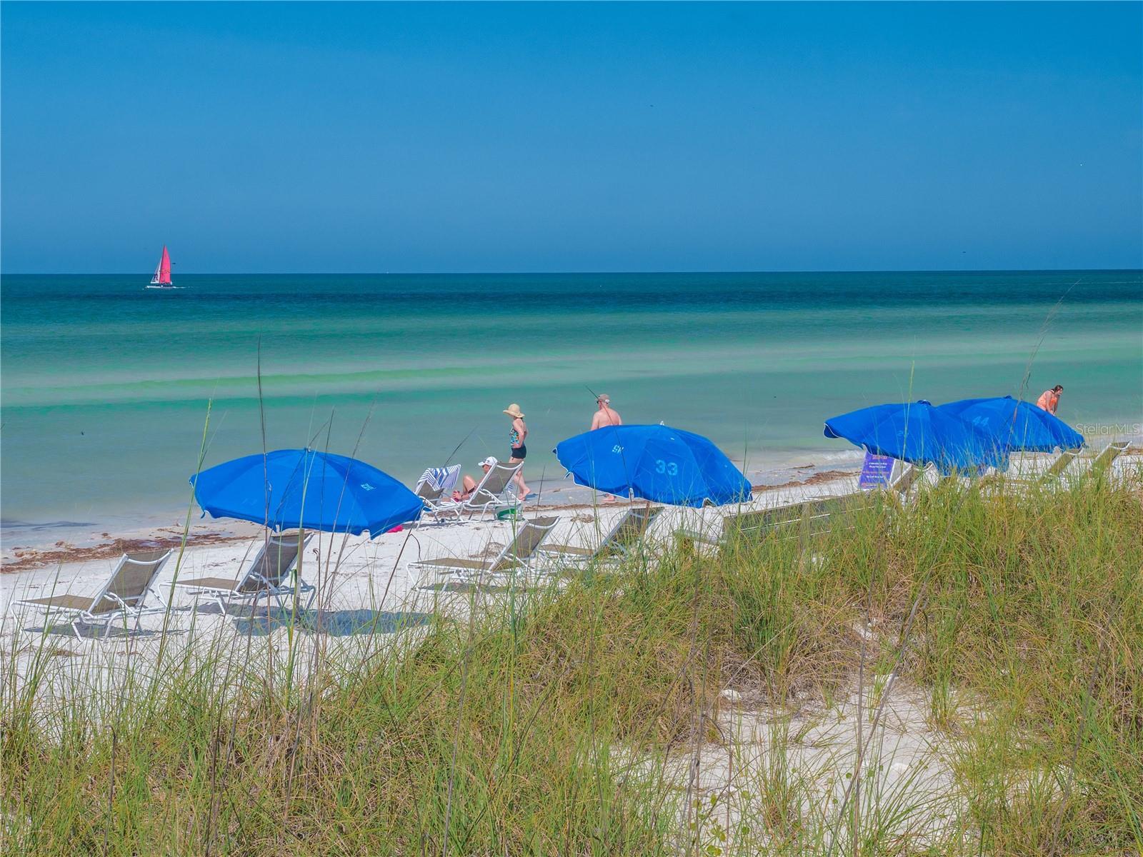 World famous Caledesi Island