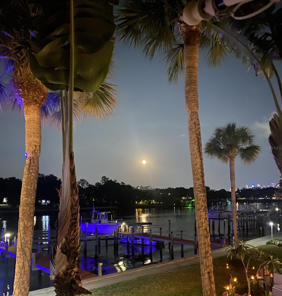 Evening view full moon