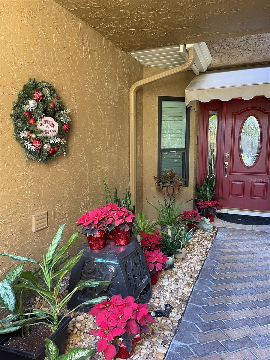 Garden in bloom last summer