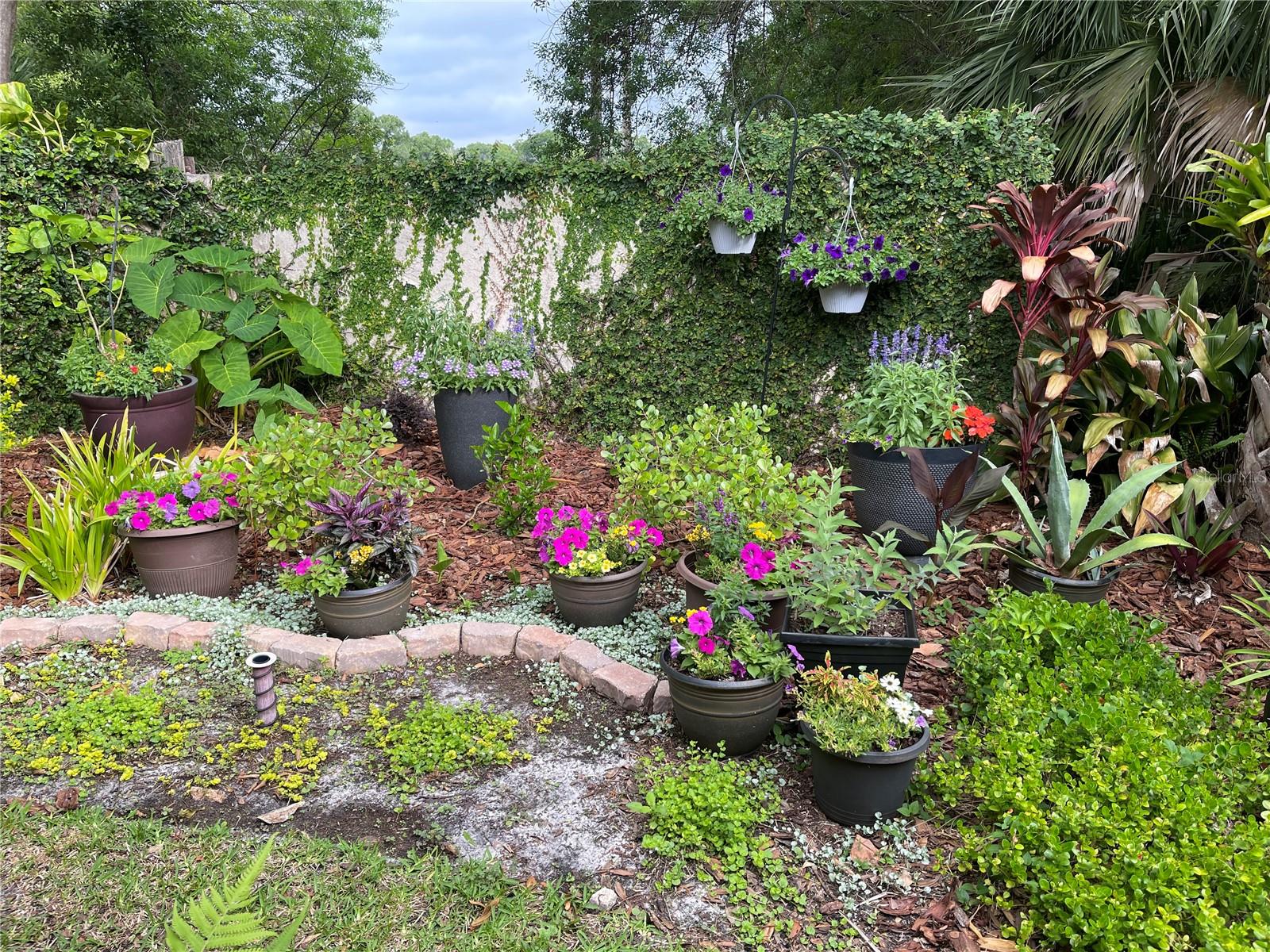 Garden in bloom last summer