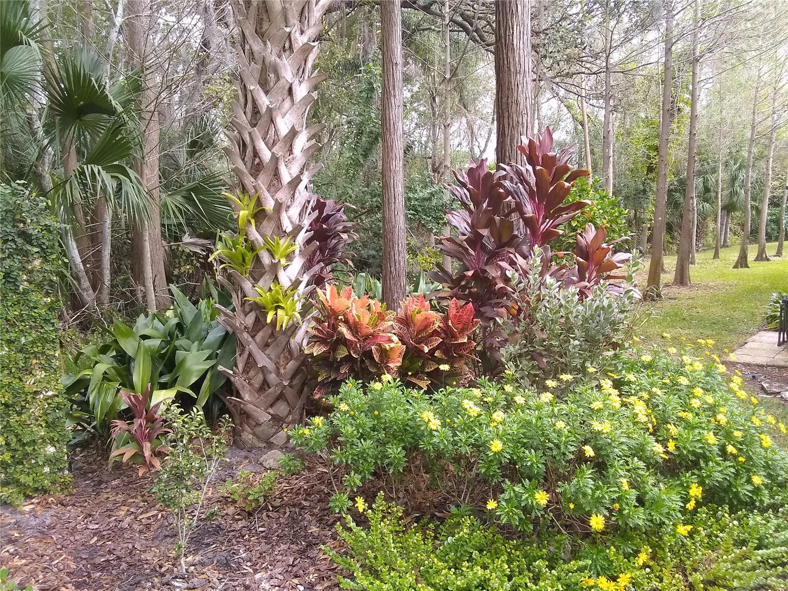 Garden in bloom last summer
