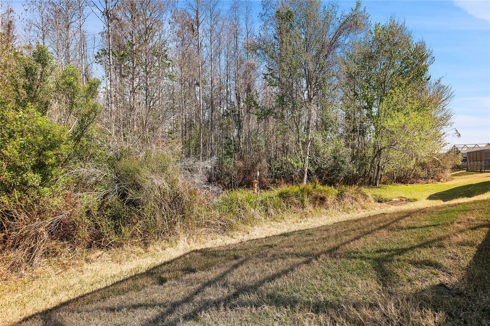 BACKYARD/CONSERVATION AREA