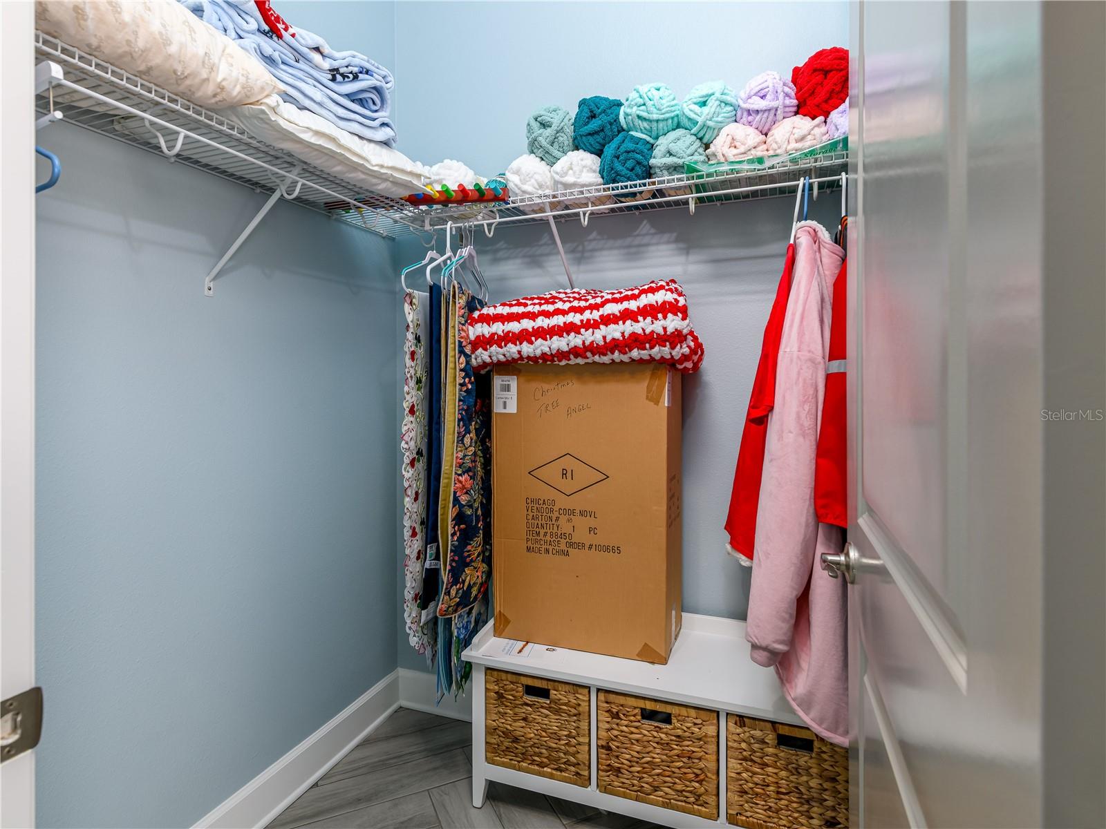 Second Bedroom walk-in