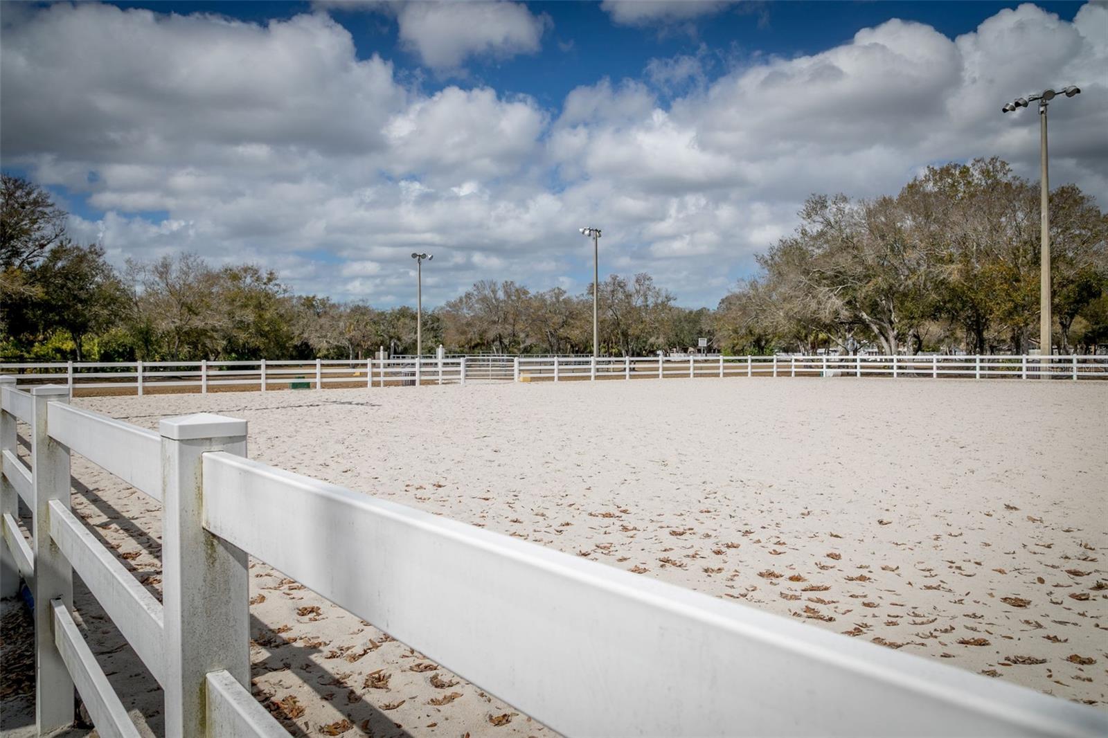 Arena for the Horses