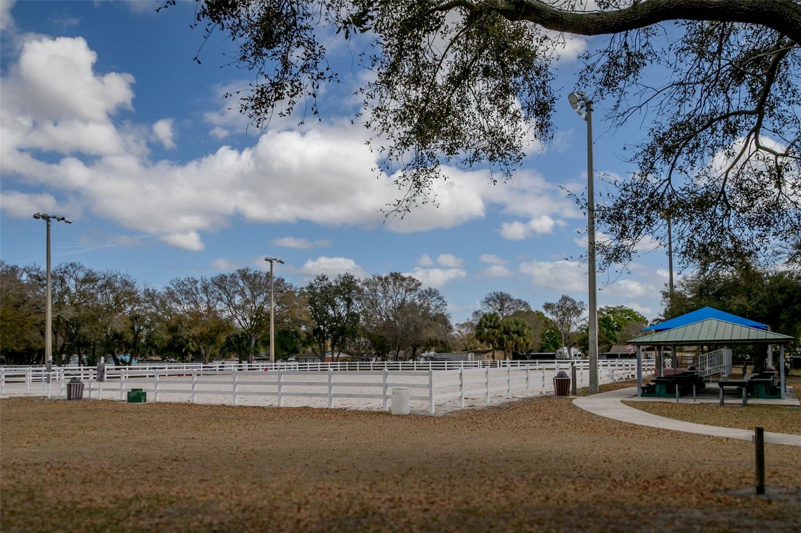 Overview of Horse Arena