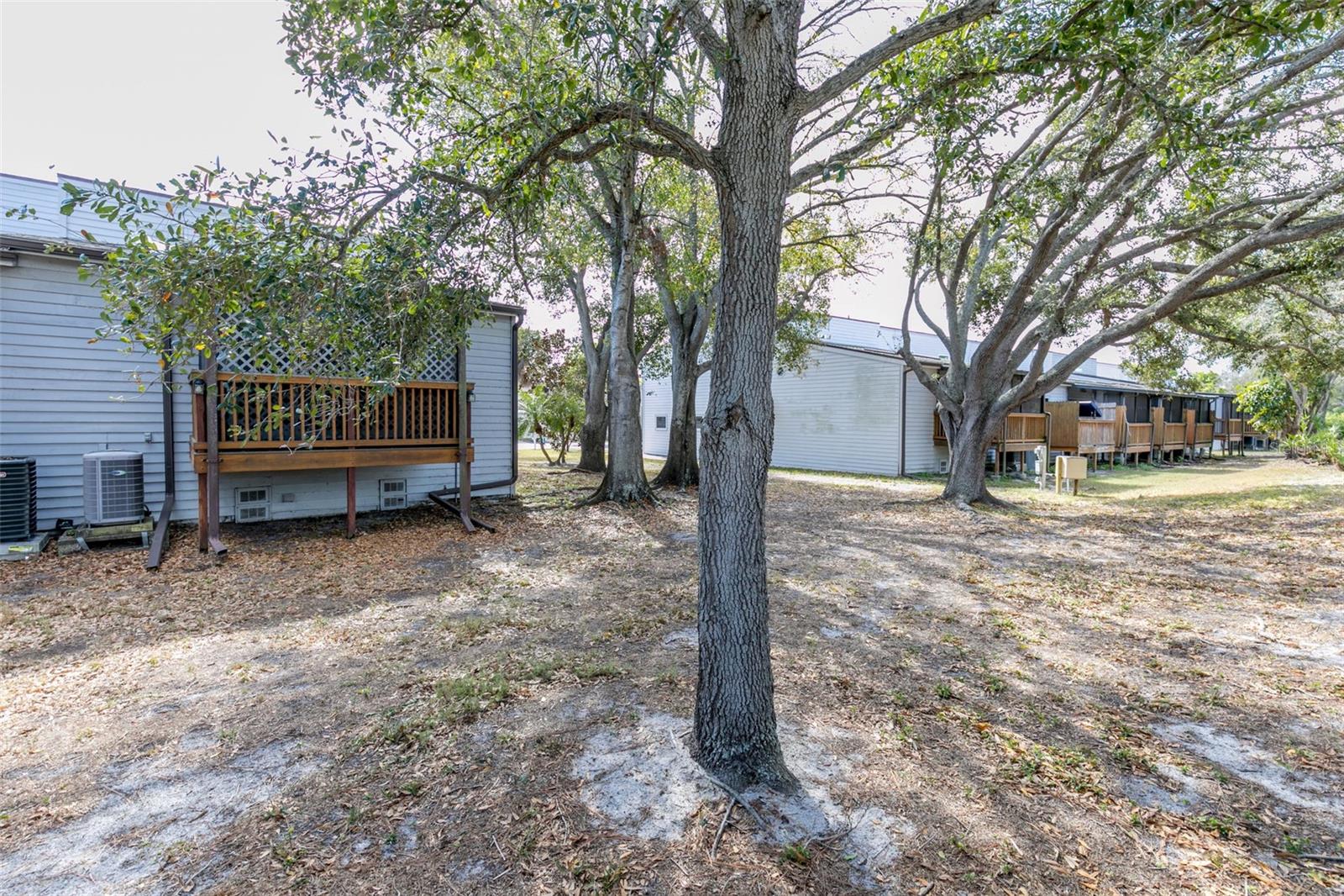 Backyard of Townhome