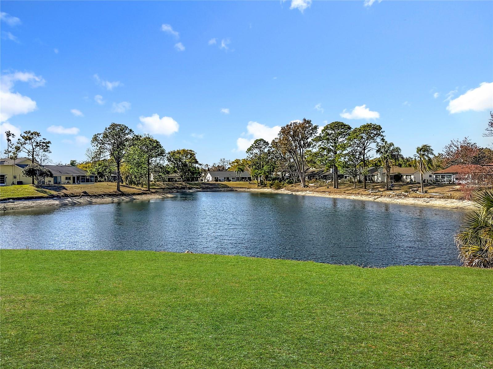 Beautiful pond views
