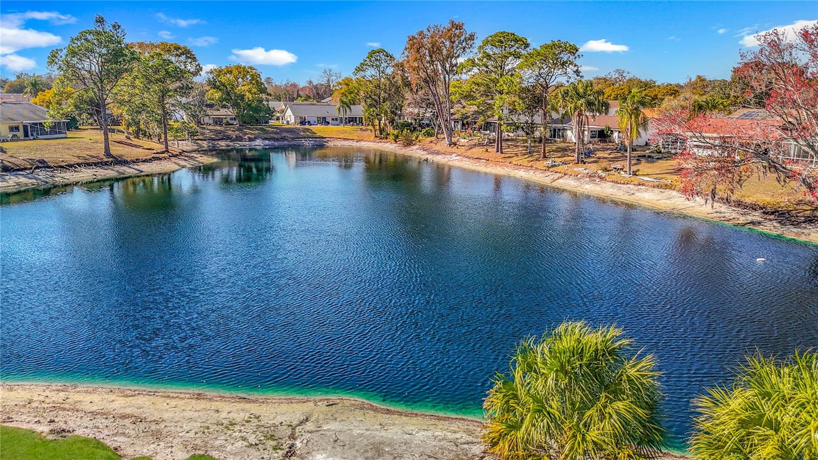 Pond behind the home