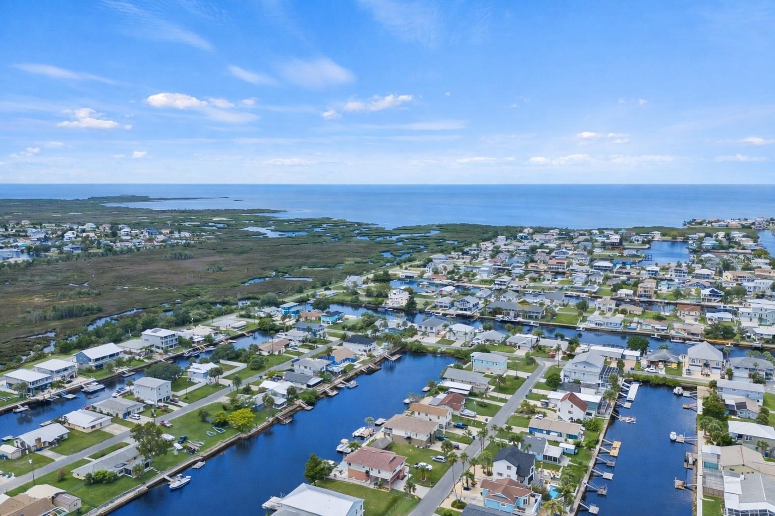 Beautiful Neighborhood