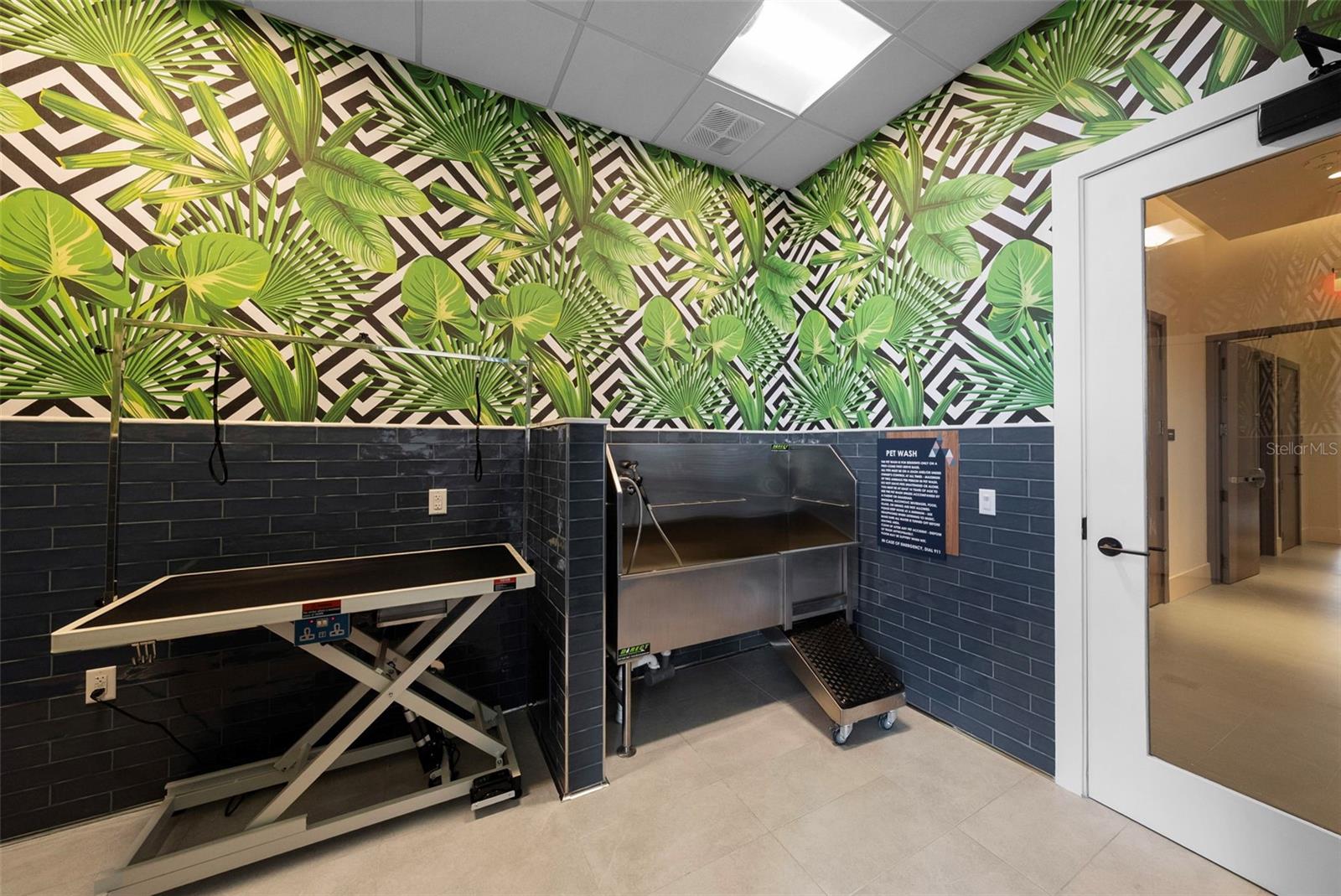 Dog wash and grooming center