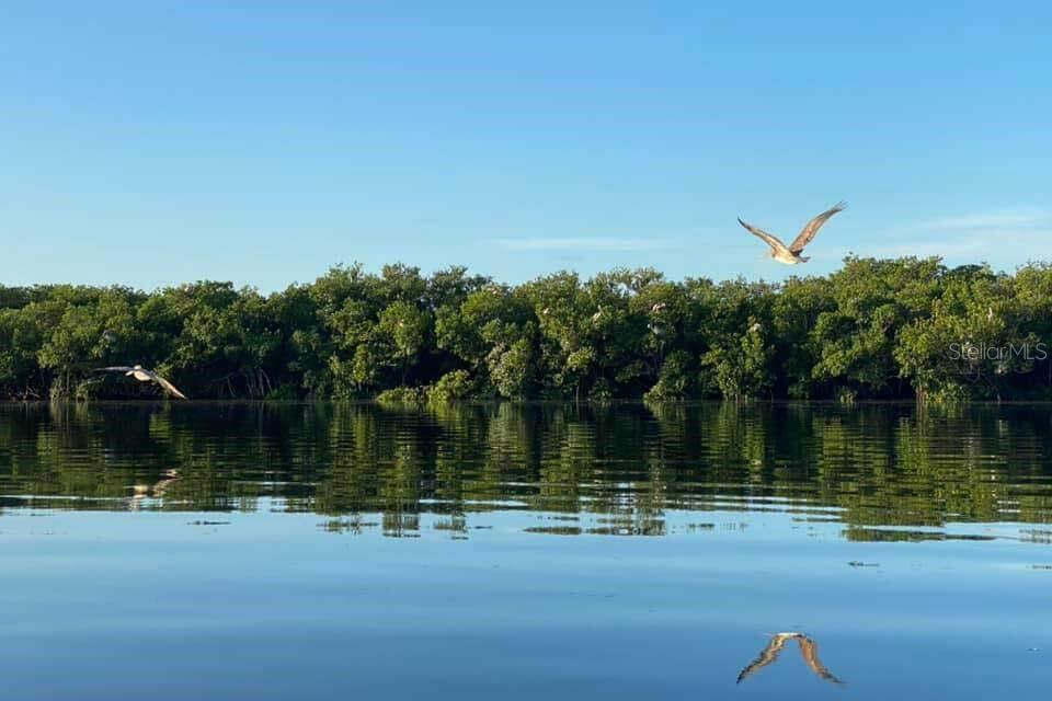 Anclote Key Preserve State Park