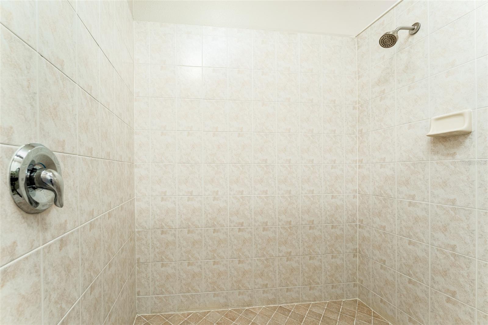 Primary Suite Shower