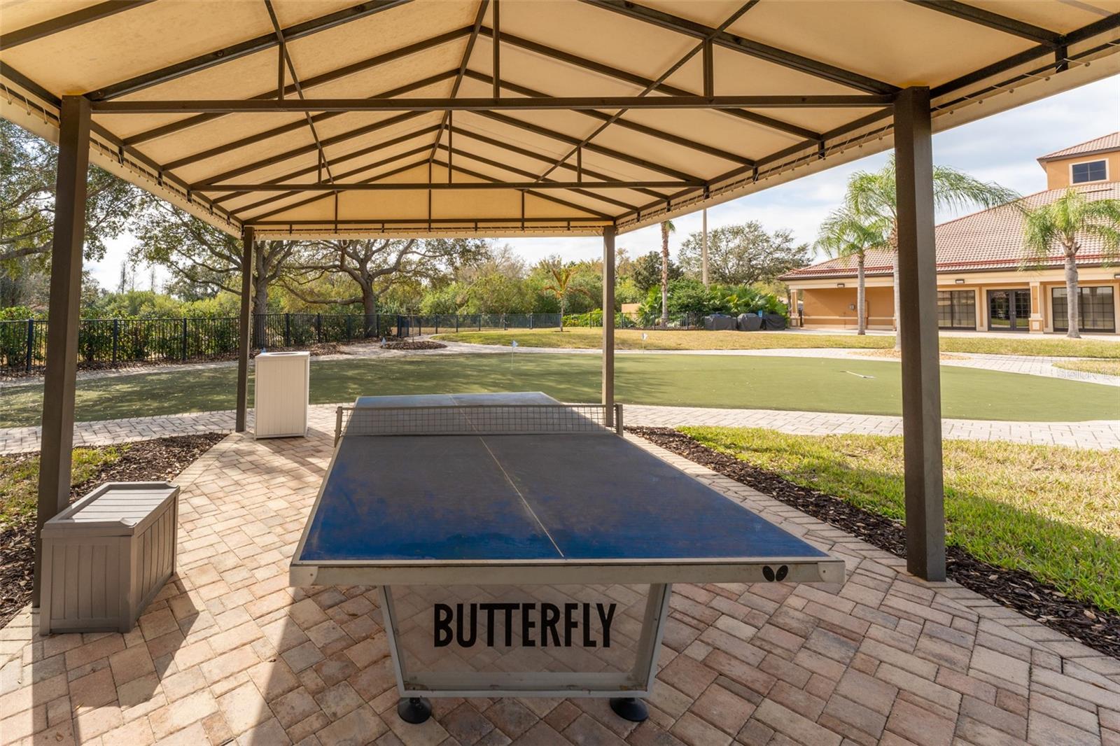 Ping Pong at the Wellspring Club