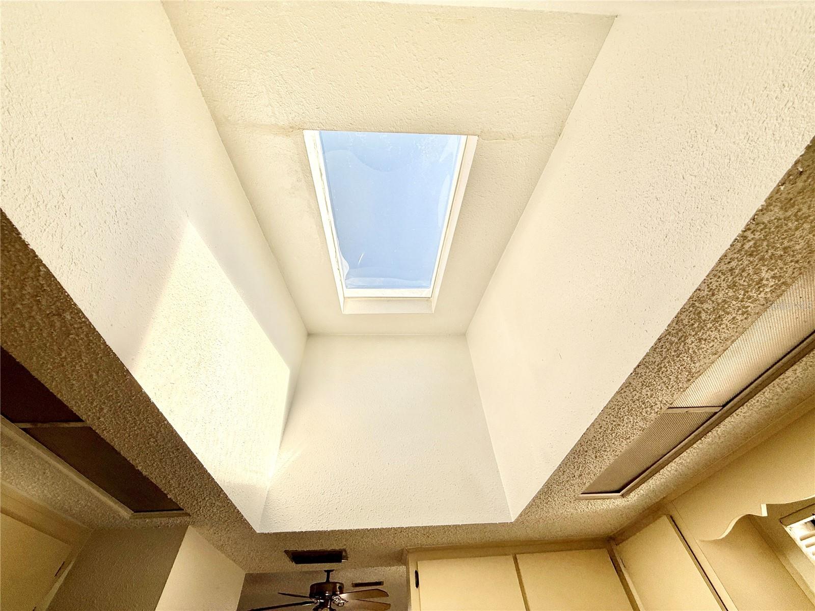 Skylight in Kitchen