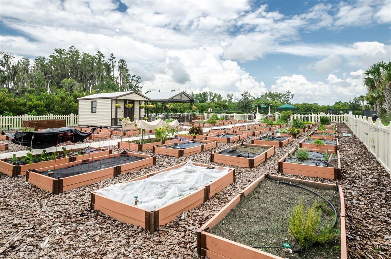 Community Garden