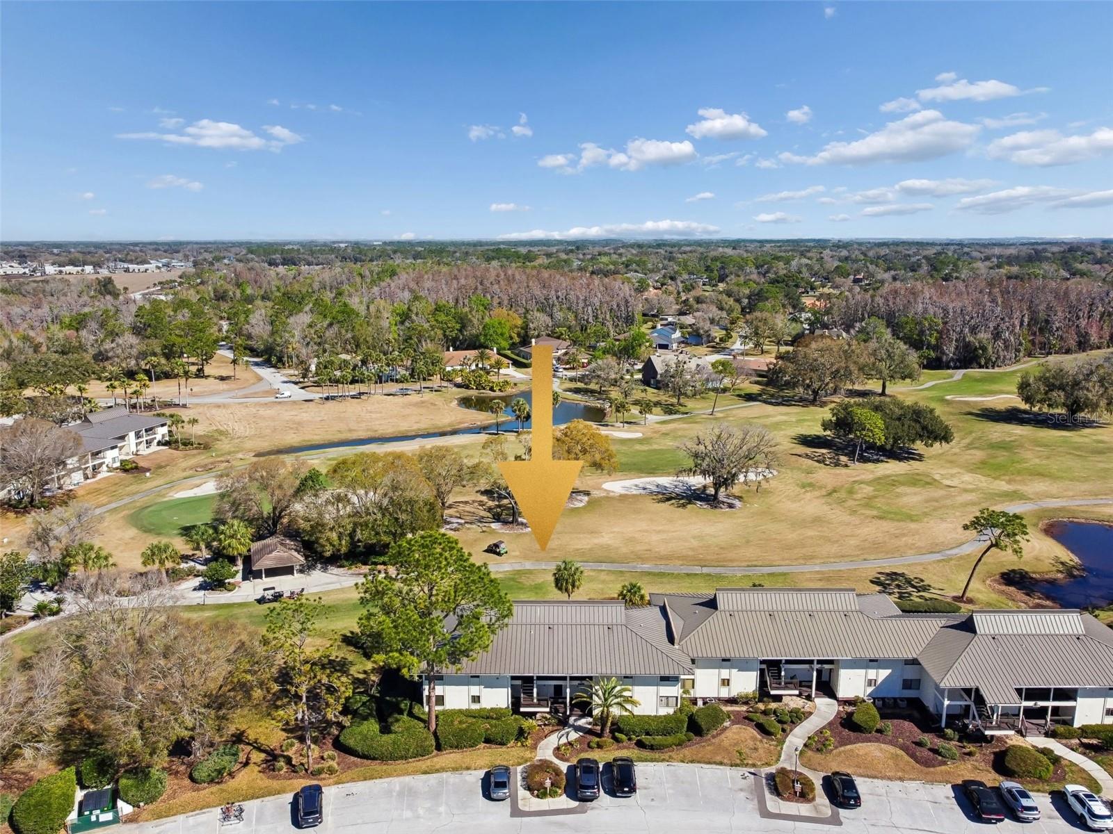 Welcome to Saddlebrook.