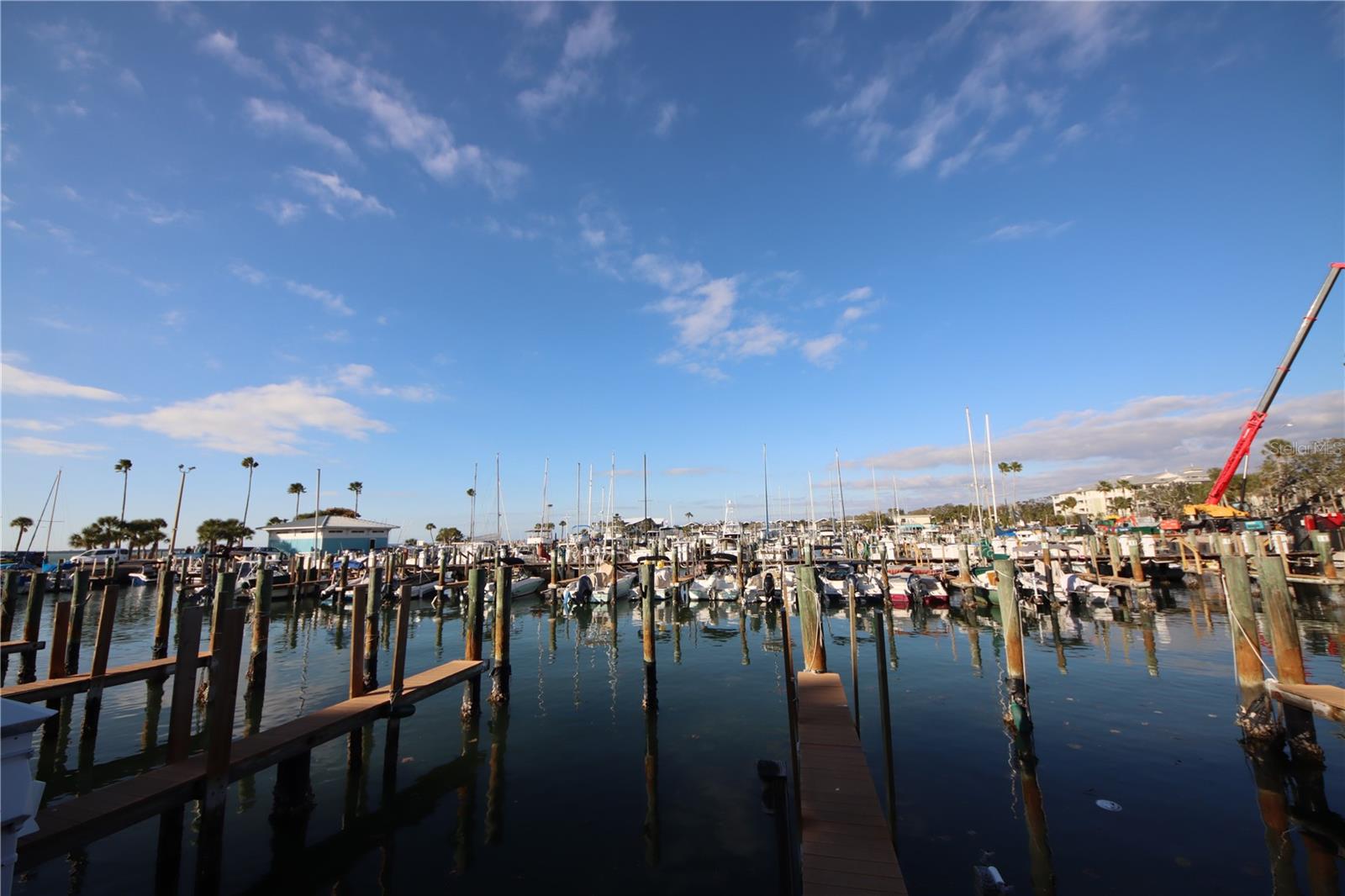 Dunedin Marina