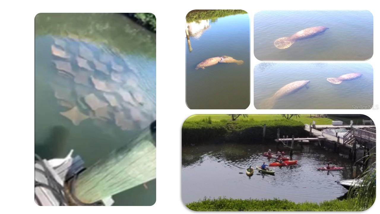 a very popular spot for wildlife and humans.